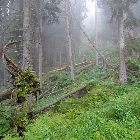 Отель Mischun 3*